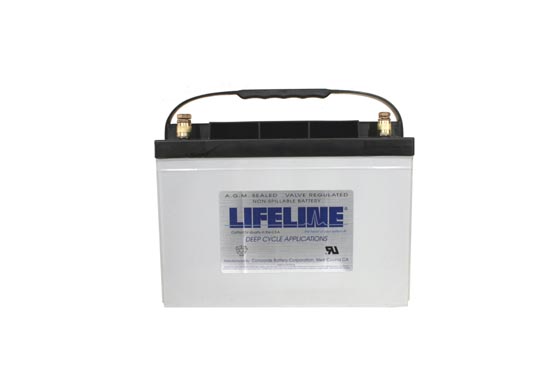 Lifeline Battery Picture
